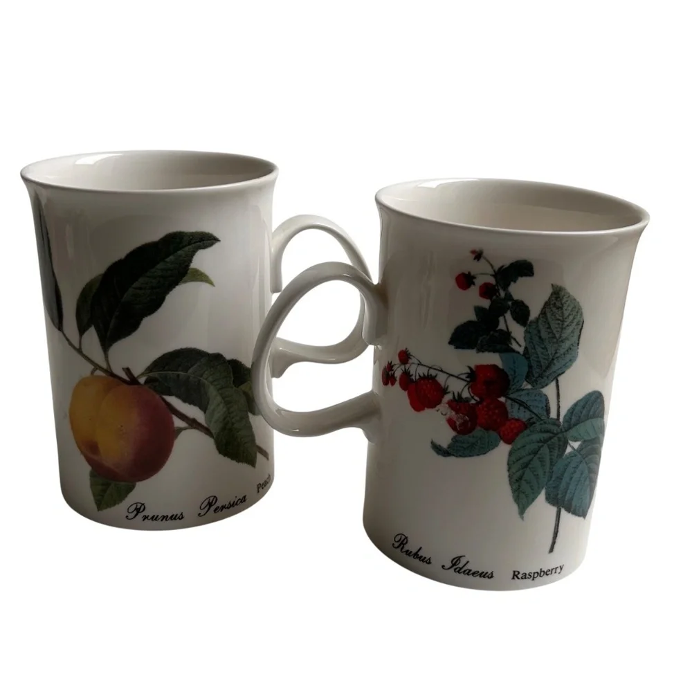 Set of 6 Dunoon Fruit Blenheim Mugs Bone China England
